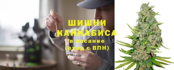 хмурый Белокуриха