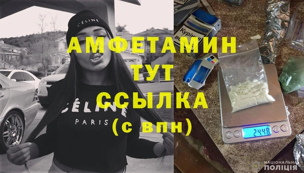 молекула духа Чердынь