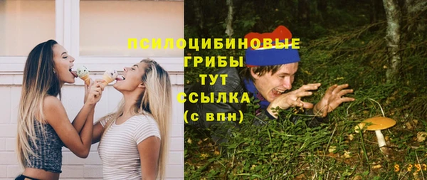 стафф Чегем