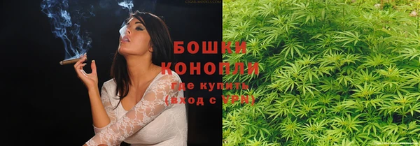 хмурый Белокуриха
