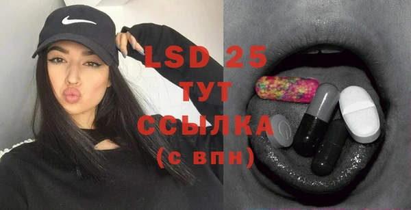 стафф Чегем