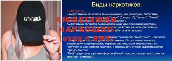 хмурый Белокуриха